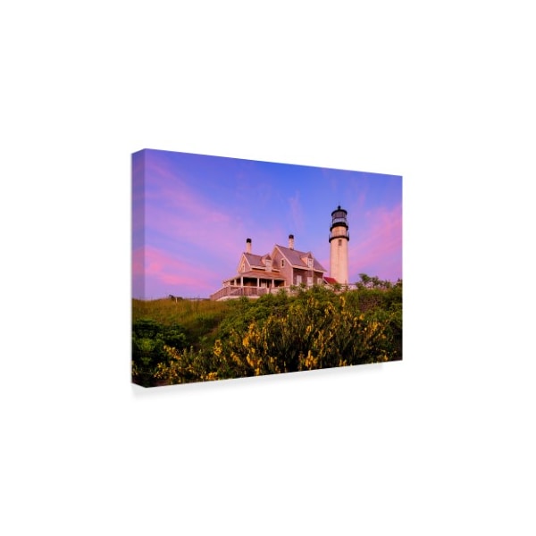 Michael Blanchette Photography 'Spring Evening' Canvas Art,16x24